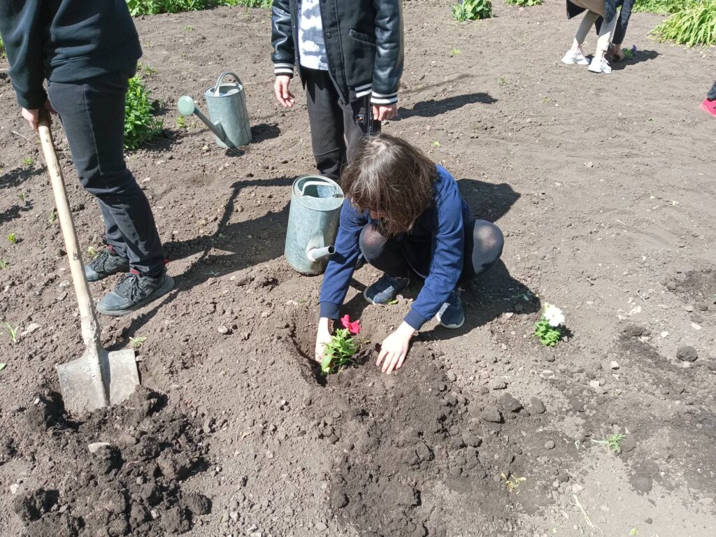 Посадка цветов в нашей школе