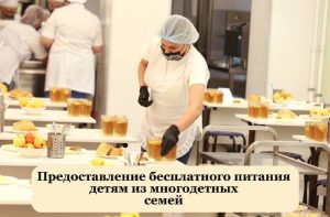 Министерство образования Самарской области информирует о правилах предоставления бесплатного питания в образовательных учреждениях детям из многодетных семей